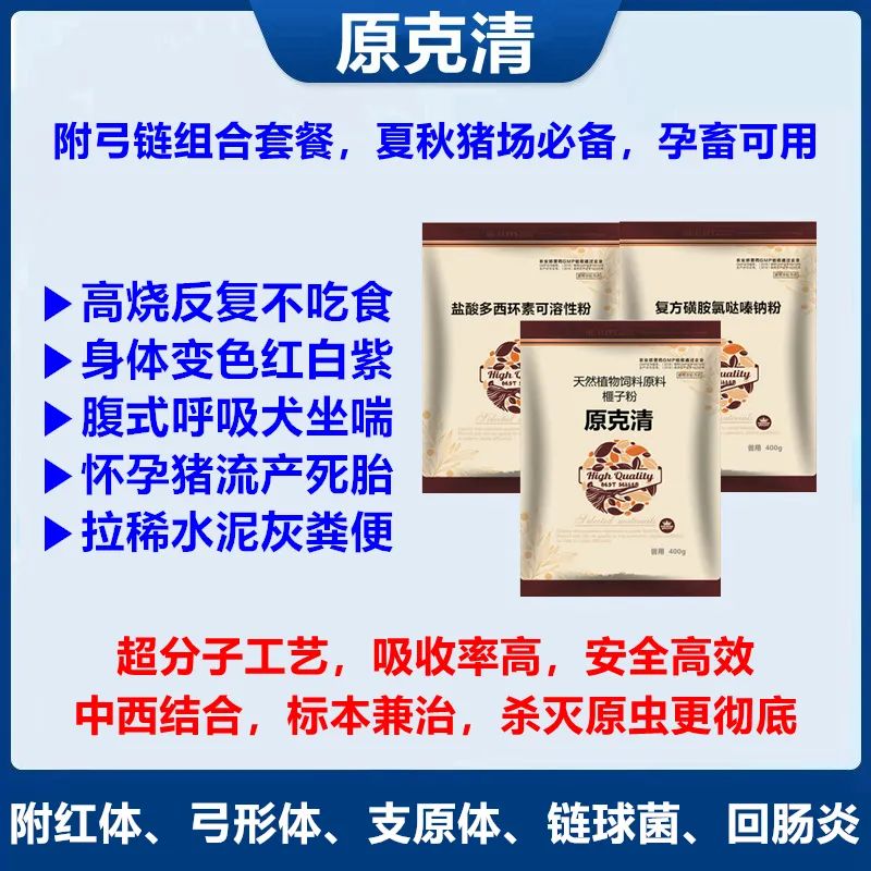 猪价格的走势_猪价走势k线图_下半年猪价走势
