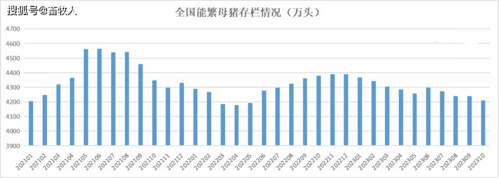 猪价格的走势_下半年猪价走势_猪价走势k线图