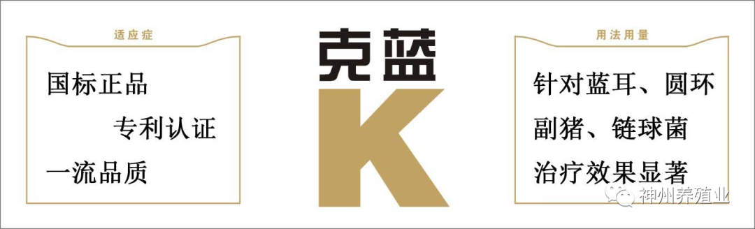 猪价格的走势_下半年猪价走势_猪价走势k线图