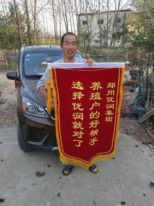 下半年猪价走势_猪价走势k线图_猪价格的走势