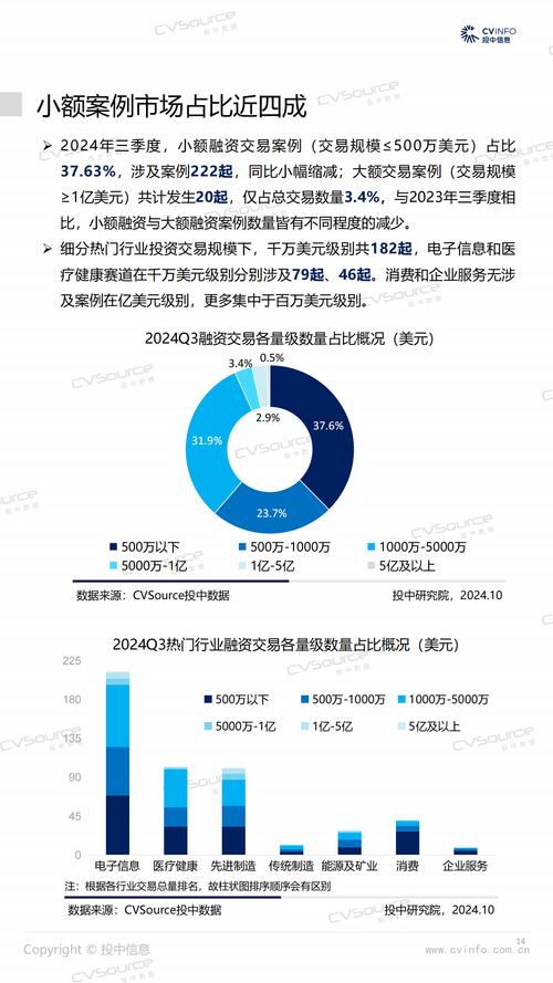 新华都公司投资分析报告_新华都财务报表分析_新华都2020年报