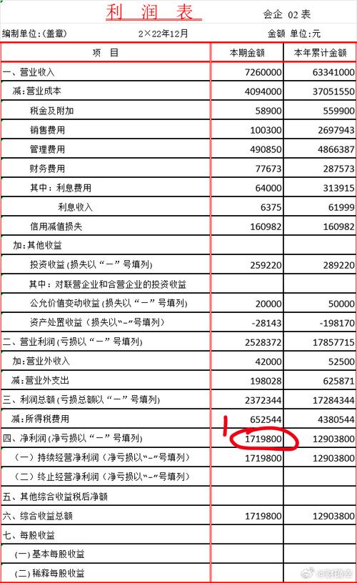 利润表分析_企业盈利能力评估_企业利润表分析案例