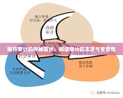 揭开审计神秘面纱：解读其概念、目的、类型及重要性