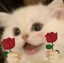 成都产前检查费报销条件_成都生育险报销计算器_成都产前检查费报销流程