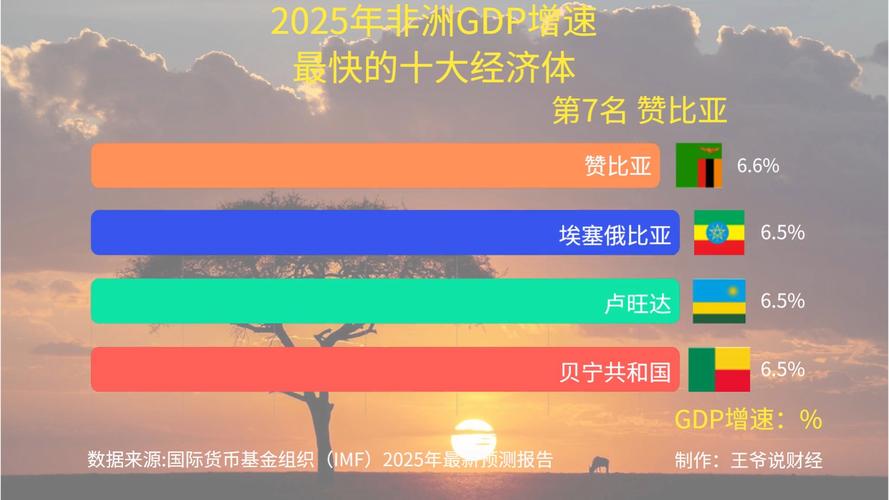 肯尼亚财政危机及IMF支持_南非2025年经济繁荣预测_2025南非货币会继续下跌