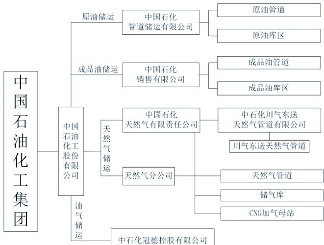 中国石油化工集团公司：重组后的大型石油石化企业集团介绍？