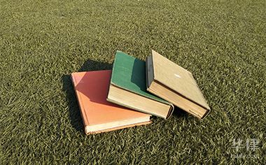 民法典对债权转让合同的规定：条件、通知及相关权利说明