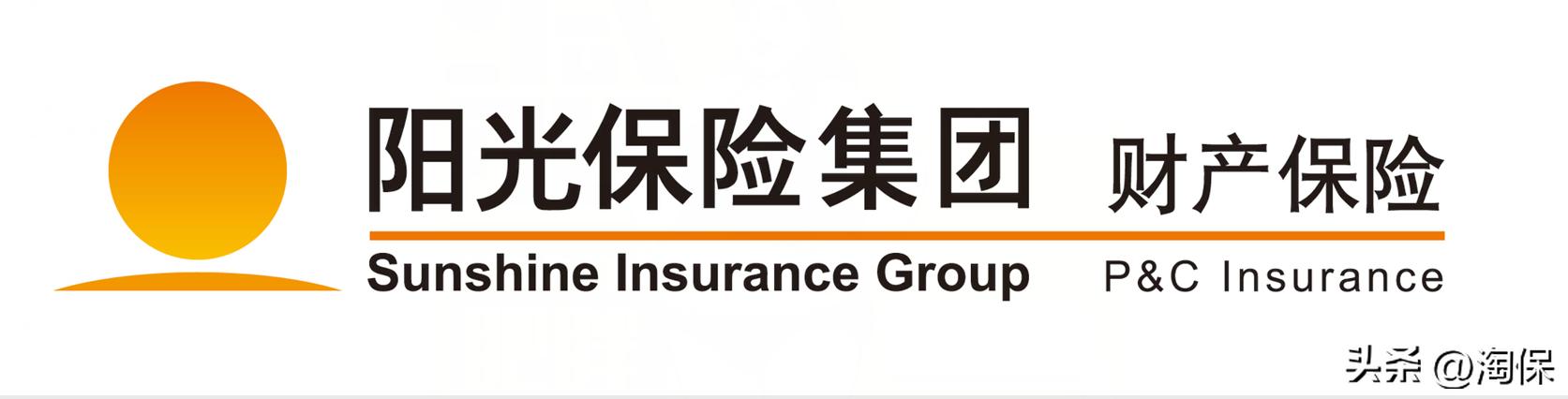 全国排名前十保险公司_国内财产险公司排名2025_财产险公司偿付能力分析