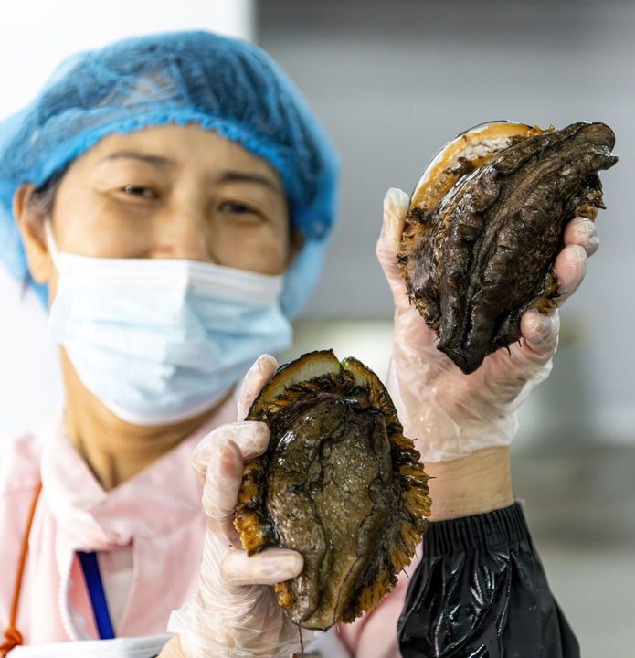 旅游资源开发潜力评价体系_构建现代海洋产业体系_海洋经济发展规划