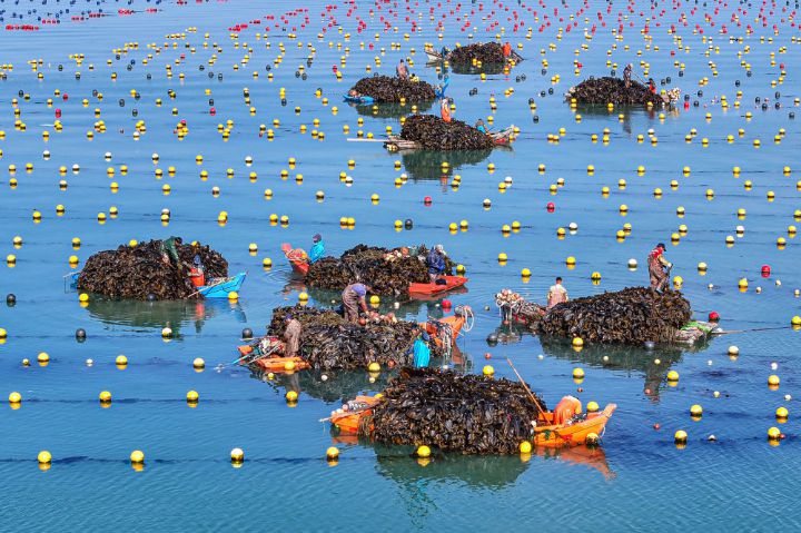 海洋经济发展规划_构建现代海洋产业体系_旅游资源开发潜力评价体系