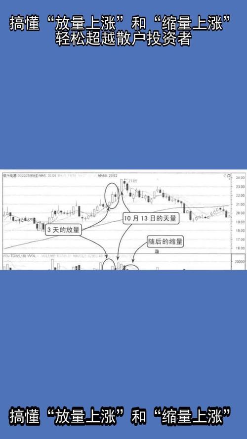 底部放量上涨暗藏玄机？主力动向与后市走势解析