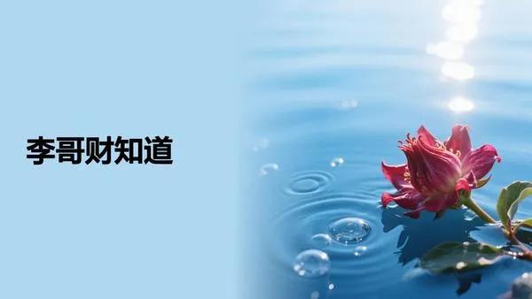 公司实收资本能退吗_股权转让节税策略_节税避税技巧