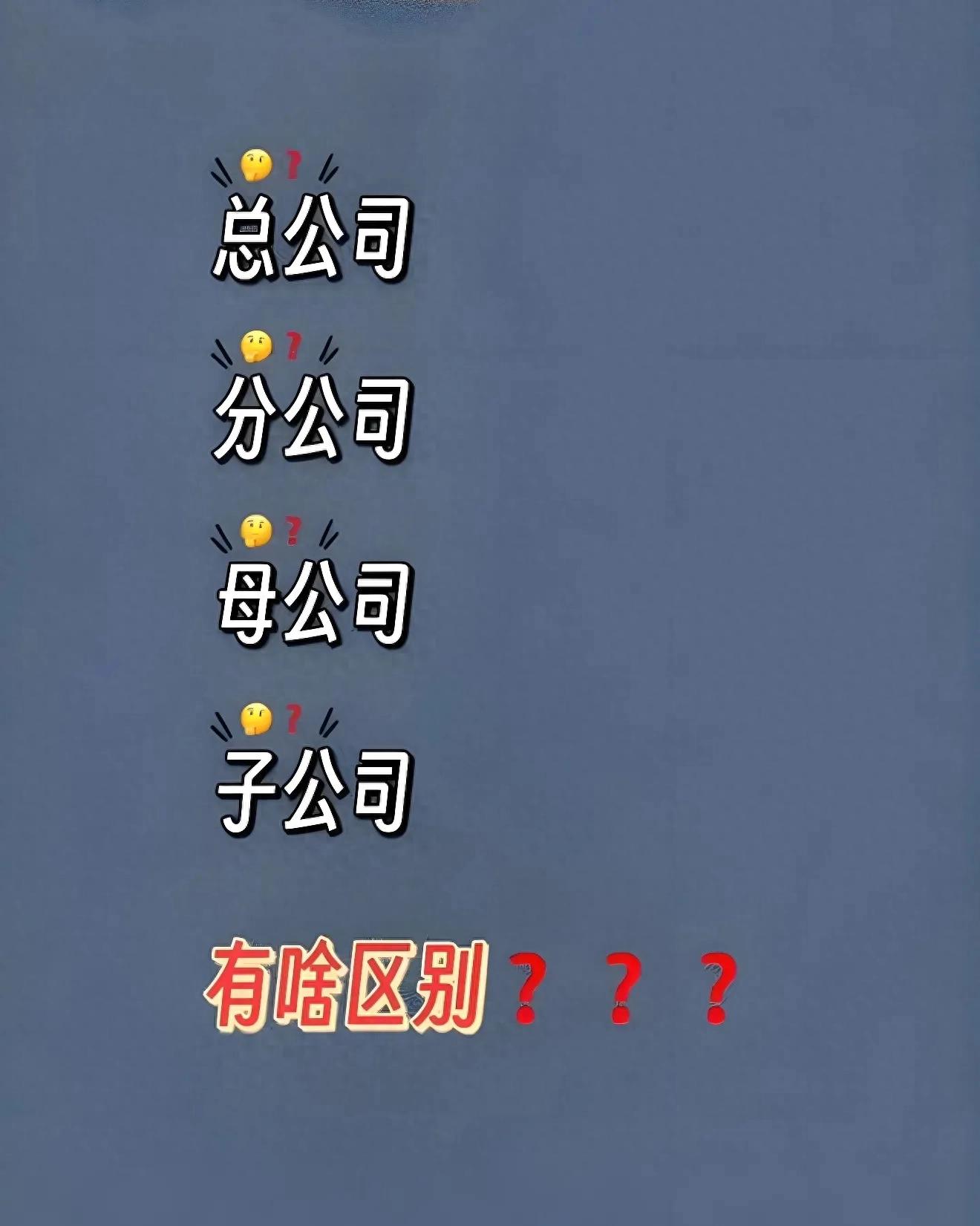 分公司与子公司的区别：法律地位及民事责任承担方式详解