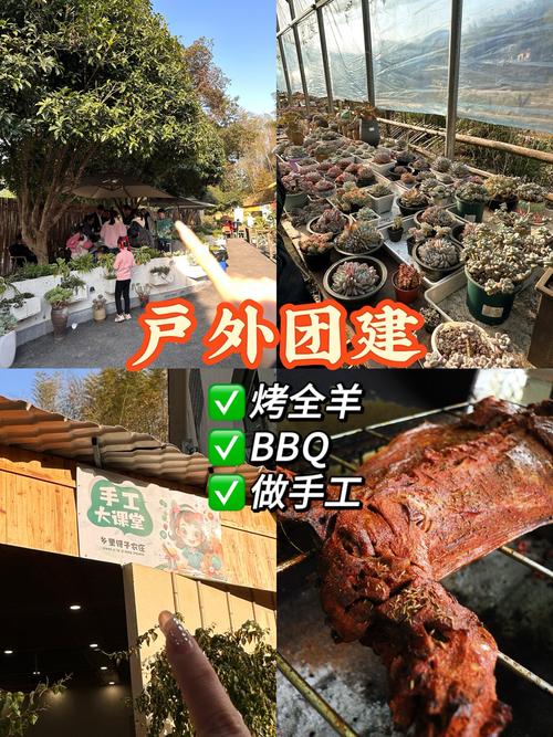 适合湖南农村的挣钱项目推荐：特色种植、农家乐等多种选择