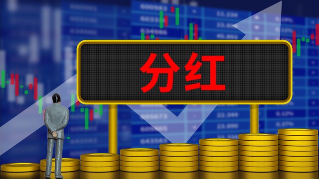 分红可持续性价值投资逻辑_机构持仓多的股票好吗_A股高分红价值投资长期持有