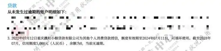 App贷款功能使用风险_携程信用贷款征信问题_借点钱贷款上征信吗