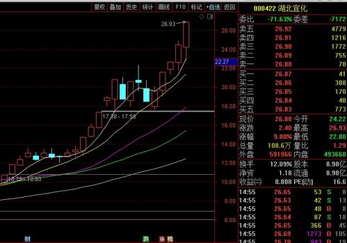 中国股市发展较好的股票有哪些？沪深A股流通盘前十是啥？