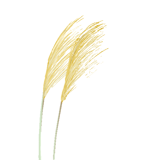 在线教育App这么火，真的安全吗？聊聊数据保护那些事儿