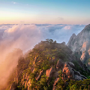 辞职公司可以不发工资吗_员工不按公司制度规定离职本月工资还给予发放吗_公司不发工资不去上班怎么办