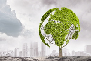 中华民国证券投资信托暨顾问商业同业公会证券投资顾问事业从事业务广告及举办证券投资分析活动行为规范