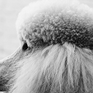 快递丢失赔偿标准_保价快递赔偿规定_快递丢失有凭证就能原价赔偿吗