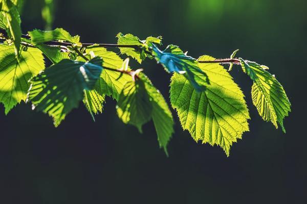 国寿长久呵护意外伤害险介绍及可靠性分析，理赔快保障高