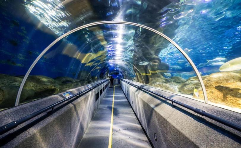 大连圣亚股权动荡_大连圣亚控制权变更_大连中盈科技股份有限公司