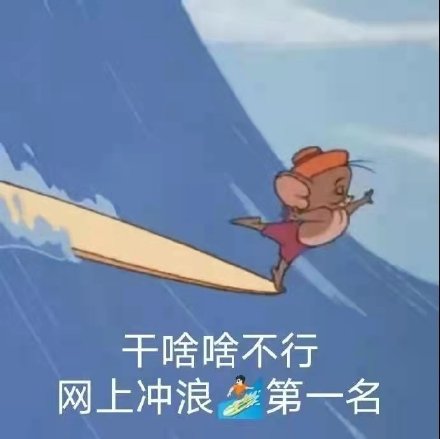 微信输入法_比达咨询 手机输入法市场份额_隐私保护模式