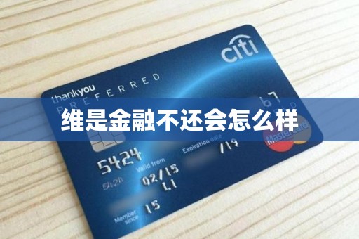 维是金融不还会怎么样