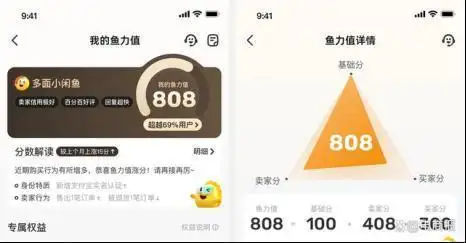 买家付款后找不到_平台监管不足_闲鱼交易欺诈