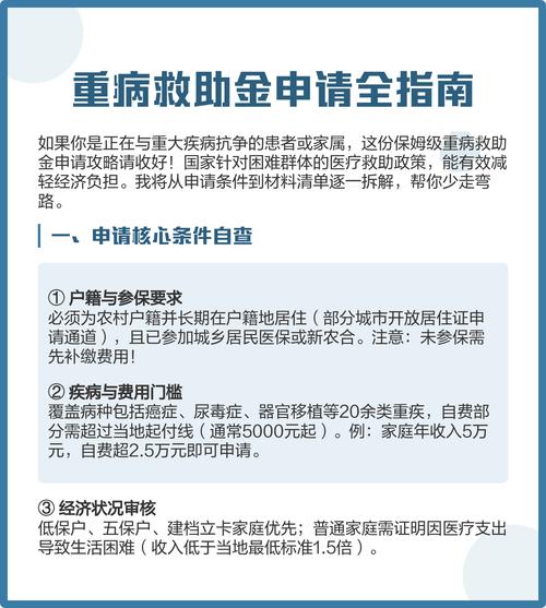 大病保险的比例是多少_特殊困难群众救助保险项目_金融创新