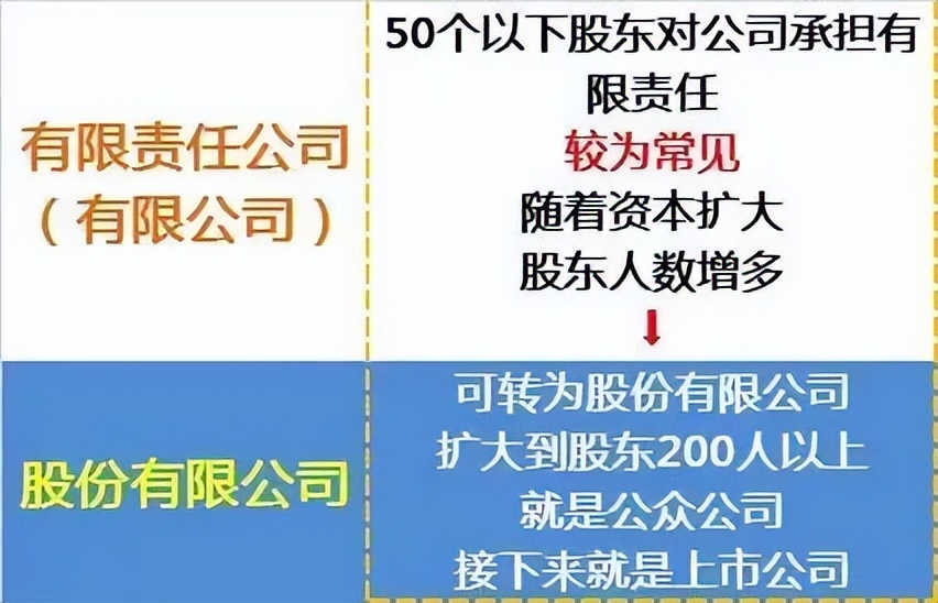 自然人可以成立炒股合伙公司吗_公司类型选择指南_个体工商户与个人独资企业优缺点对比