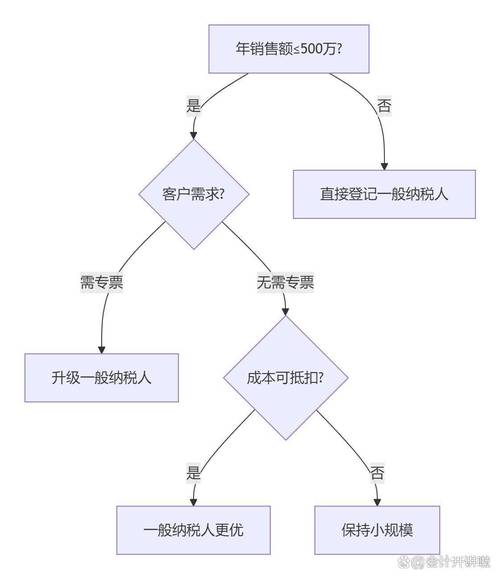 一般纳税人企业分类说明 2026新政下个体户身份划分与选择指