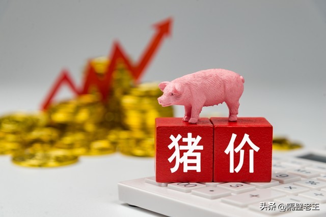 新希望股票最高价是多少_全国生猪价格走势_区域生猪价格分化