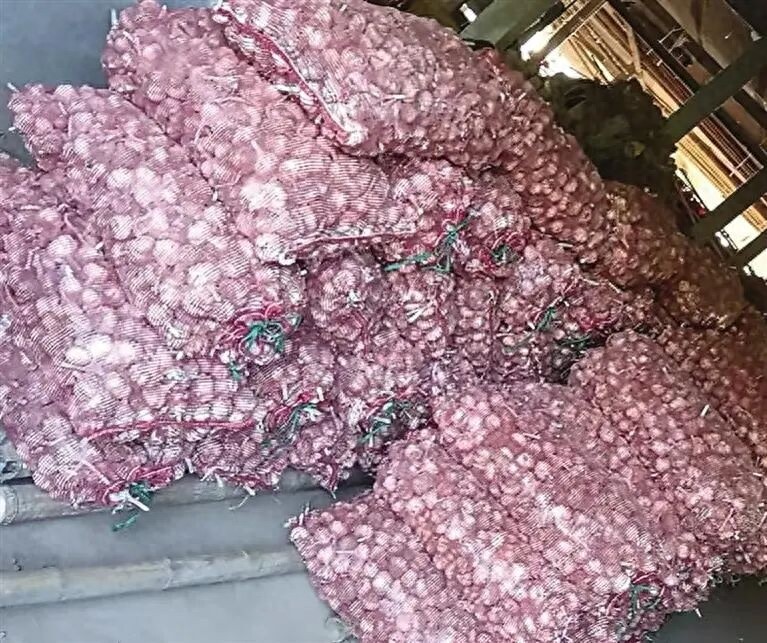 近10年大蒜价格走势图:蒜价波动大,6吨滞销亏本,蒜农该如何应对? 近10年大蒜价格走势图:蒜价波动大,6吨滞销亏本,蒜农该如何应对?